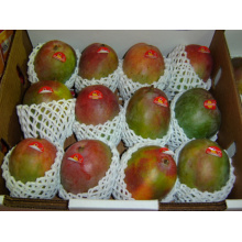 Emballage en plastique de mousse d&#39;EPE d&#39;emballage de tube de maille de catégorie comestible pour le fruit